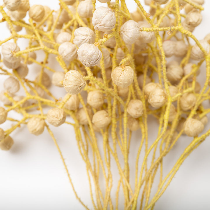 Pastel Yellow Kantha Bouquet