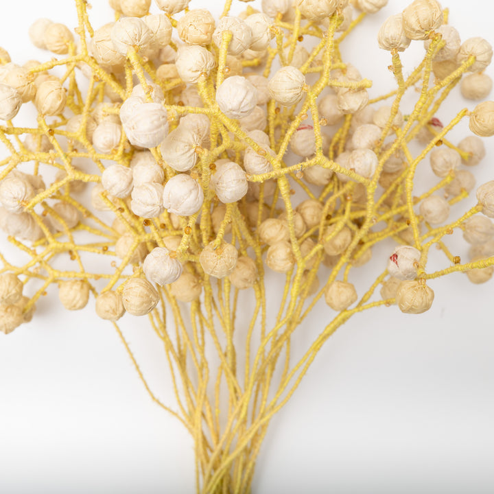 Pastel Yellow Kantha Bouquet